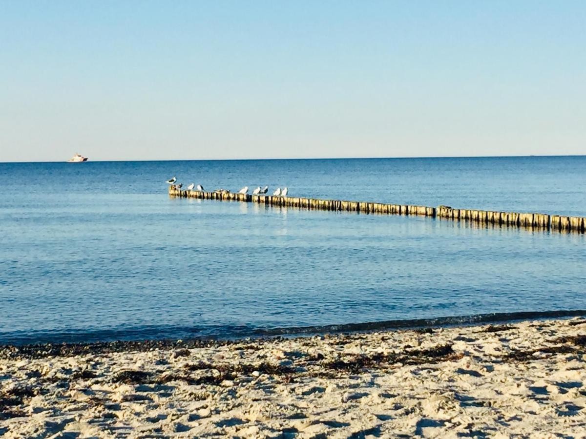 Aparthotel Waterkant Suites - Fewos Am Meer Mit Spa Börgerende-Rethwisch Eksteriør bilde